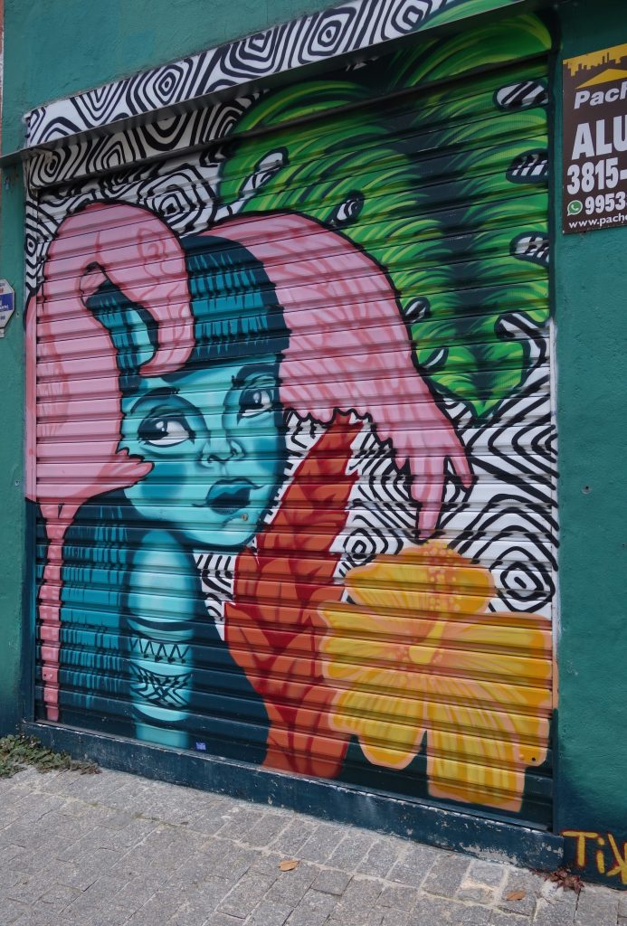 Arte de rua; StreetArt em Sampa/Foto: J Goncalves