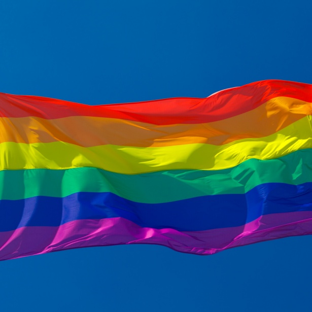 LGBT: 28 de junho: Dia do Orgulho LGBT o levante de Stonewall