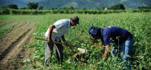 Anuário da Contag: Vânia Marques Pinto, secretária de Política Agrícola destaca desafios e políticas públicas para impulsionar a produção e garantir vida digna no campo para agricultores familiares