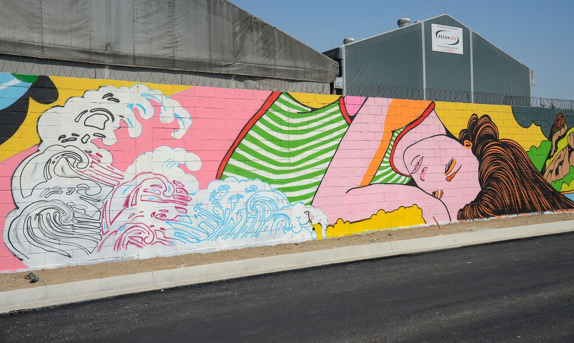 Arte urbana no Rio de Janeiro com Muro grafitado/Foto: Tomaz Silva/Agência Brasil
