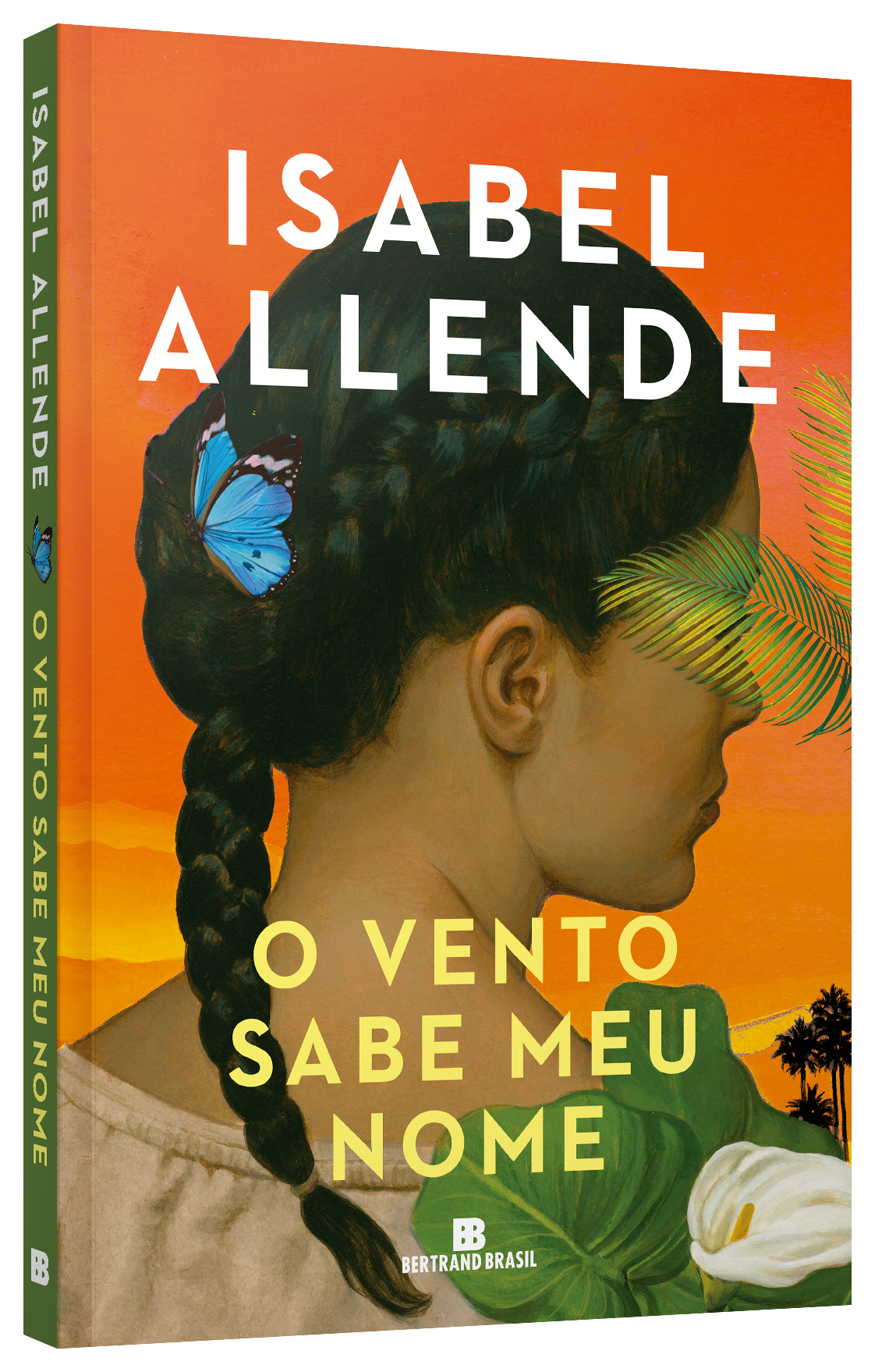 Capa do livro O Vento sabe meu nome, de Isabel Allende