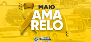 Maio Amarelo: motoristas SP lutam por trânsito seguro e humanizado