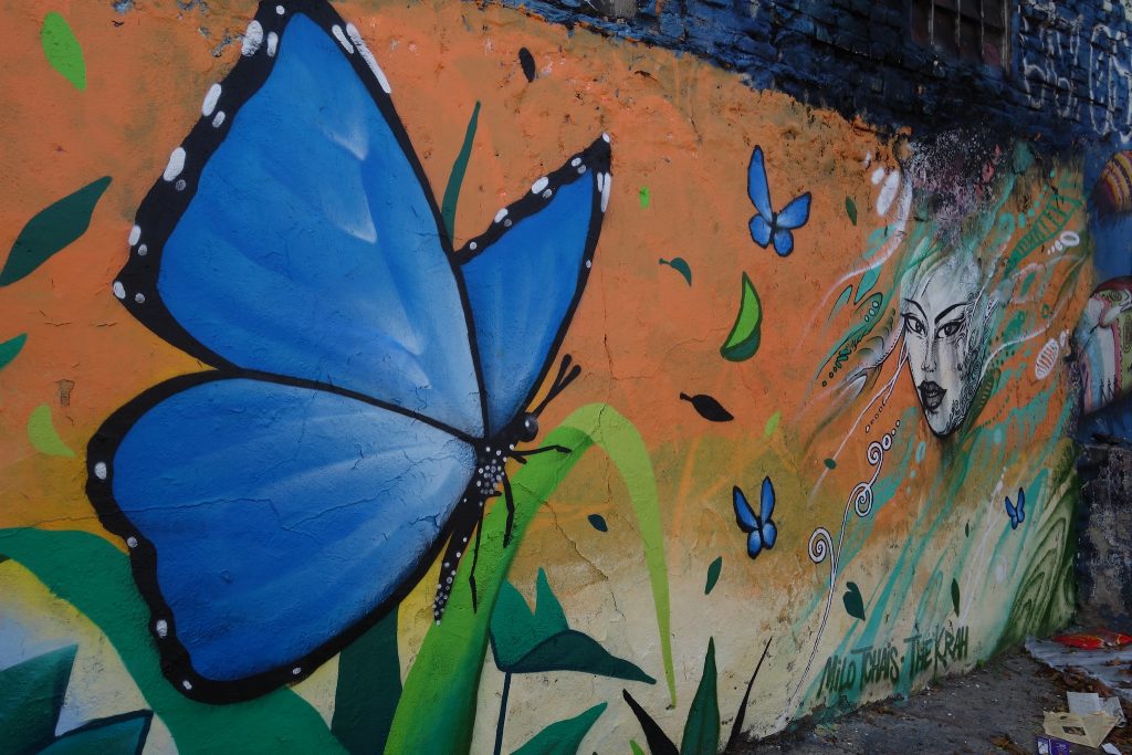 Arte de rua em Sampa; São Paulo tem street art/Foto: J Goncalves