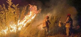 Brasil em chamas: Incêndio no Parque de Itatiaia. Foto: Corpo de Bombeiros