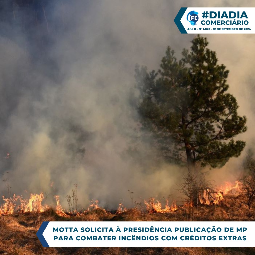 É urgente que o Brasil tome medidas para o combate a incêndios