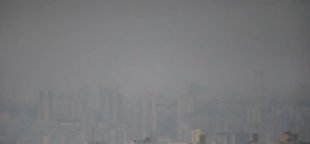 Risco elevado para incêndios: alerta é prorrogado até sábado em SP