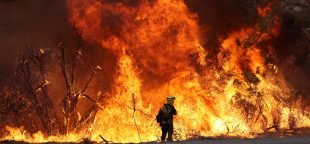 Incêndio Park que começou no Condado de Butte, CA em julho de 2024. Foto: FLICKR do Departamento de Silvicultura e Proteção contra Incêndios da Califórnia