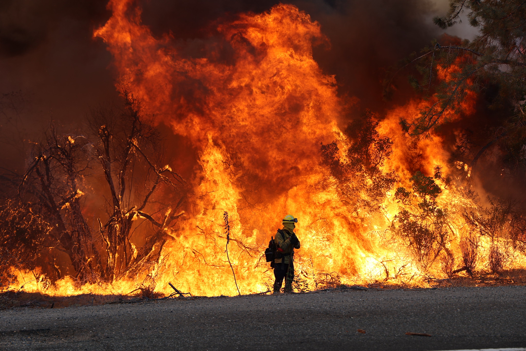 Incêndio Park que começou no Condado de Butte, CA em julho de 2024. Foto: FLICKR do Departamento de Silvicultura e Proteção contra Incêndios da Califórnia