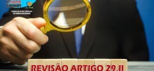 Sindnapi participou de audiência sobre revisão do artigo 29