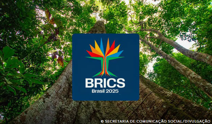Brics lança concurso para startups lideradas por mulheres Brics lança concurso para startups lideradas por mulheres