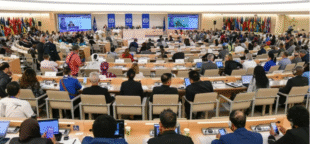 A 113ª Conferência Internacional do Trabalho trouxe avanços significativos na Proteção aos Trabalhadores e na segurança no trabalho.