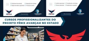 Cursos profissionalizantes: conheça o Projeto Fênix