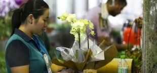 O setor de flores avança com o novo Acordo Coletivo, assegurando aumento salarial e reconhecimento do Dia do Comerciário.