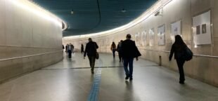 Desafios do mundo do trabalho e grandes transições impactam as desigualdades sociais no Brasil.