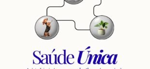 Em 3 de novembro celebramos o Dia Mundial da Saúde Única. Descubra como essa data conscientiza sobre saúde interconectada.
