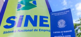 O SINE pode contribuir para a política de trabalho no Brasil, respondendo às transformações no mercado de trabalho. Foto: Carlessandro Sousa/Governo Tocantins