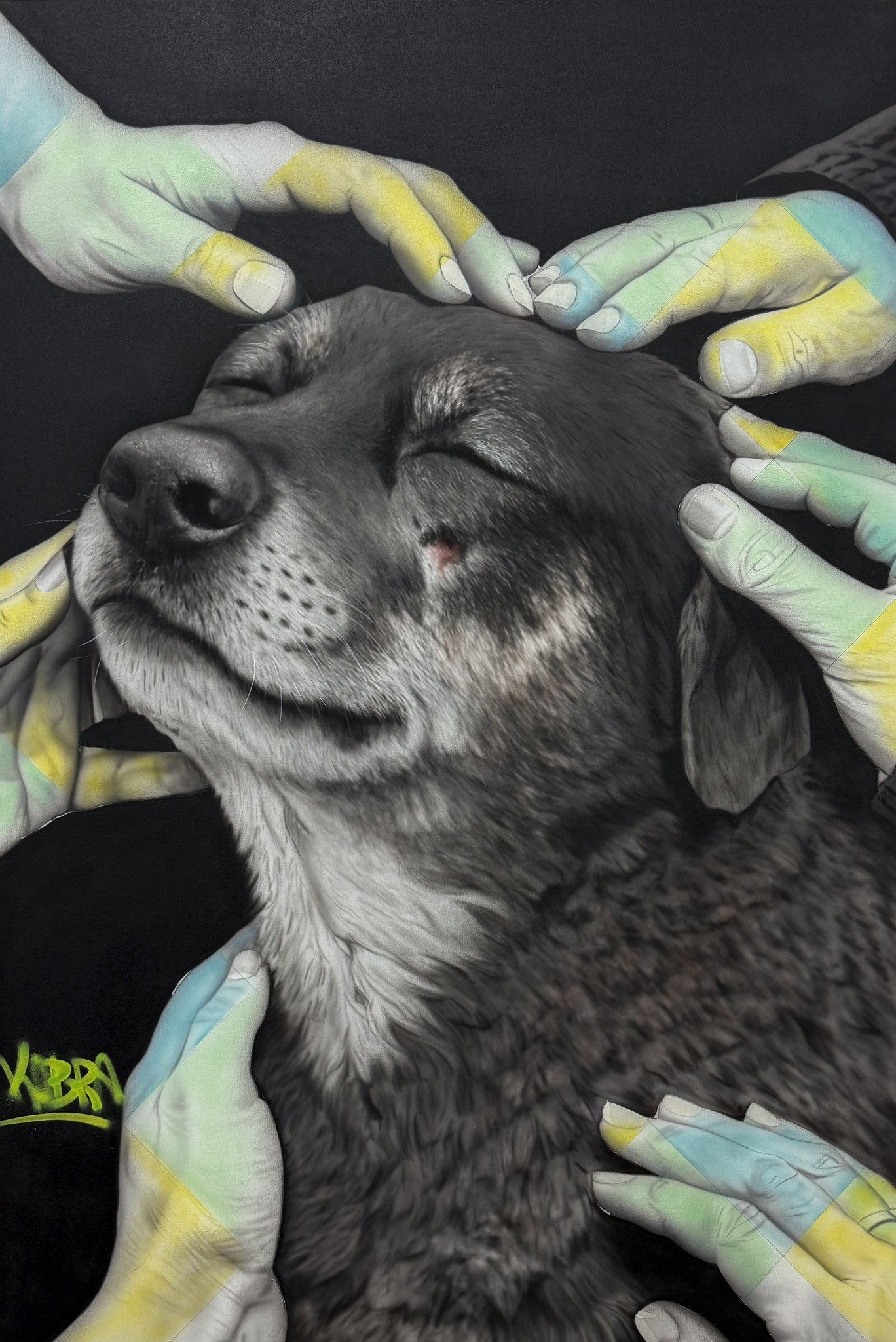 Arte de Eduardo Kobra em homenagem ao cão Orelha divulgada na rede X