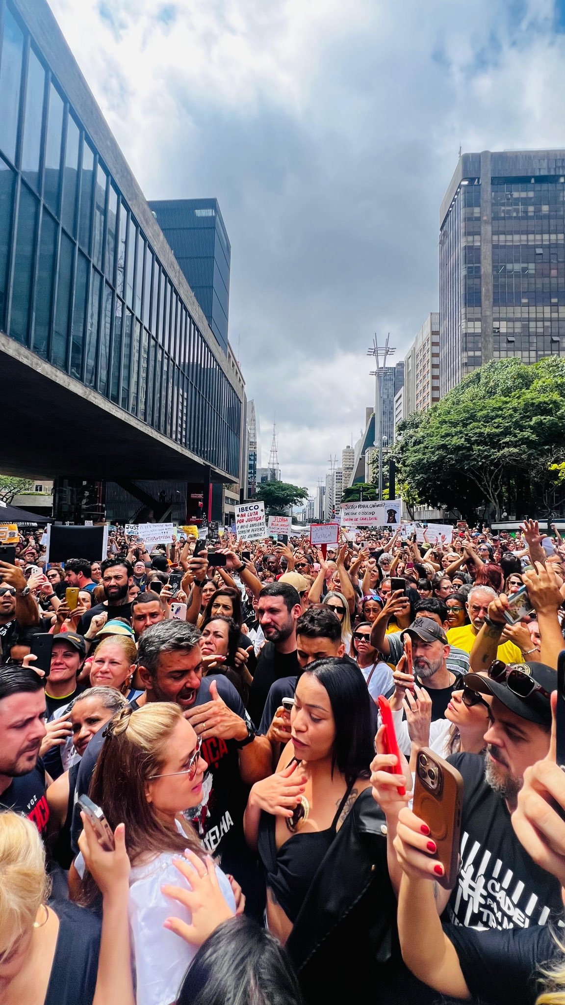 Manifestações por justiça pelo Orelha mostram a força do ativismo animal. Saiba mais sobre esse movimento nacional. Foto: reprodução redes sociais.