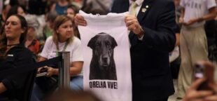 Decreto "Justiça por Orelha" aumenta multas por maus-tratos aos animais - Foto: Ueslei Marcelino/MMA