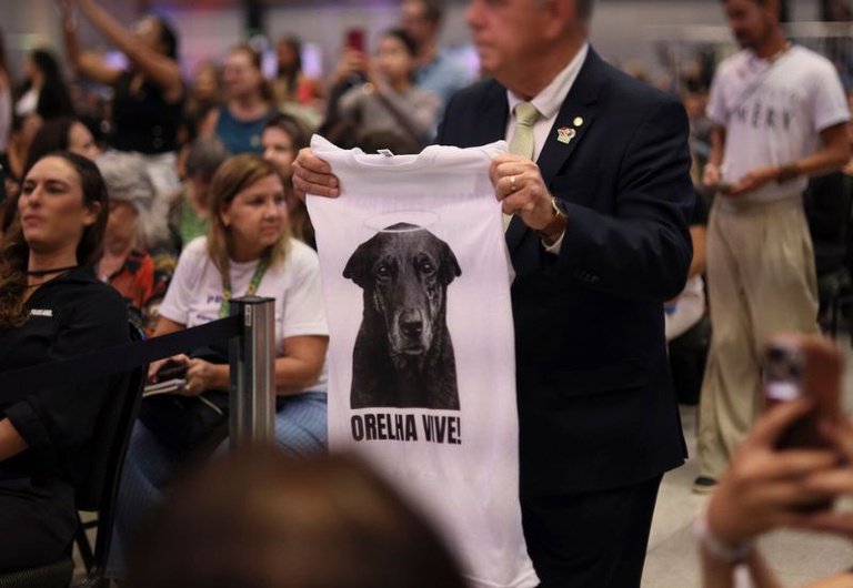 Decreto "Justiça por Orelha" aumenta multas por maus-tratos aos animais - Foto: Ueslei Marcelino/MMA Decreto "Justiça por Orelha" aumenta multas por maus-tratos aos animais - Foto: Ueslei Marcelino/MMA