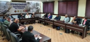 FEQUIMFAR debate desafios sindicais com suecos