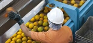 FITIASP e FTIA Interior cobram reajuste maior para setor de suco