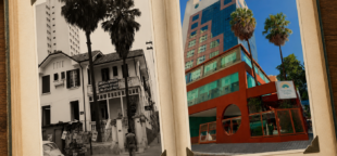O Sinthoresp, fundado em 1933, é a maior entidade de trabalhadores do segmento na América Latina.
