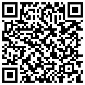QR Code – Consulta Pública