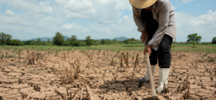 OIT alerta para impactos climáticos sobre emprego e trabalho