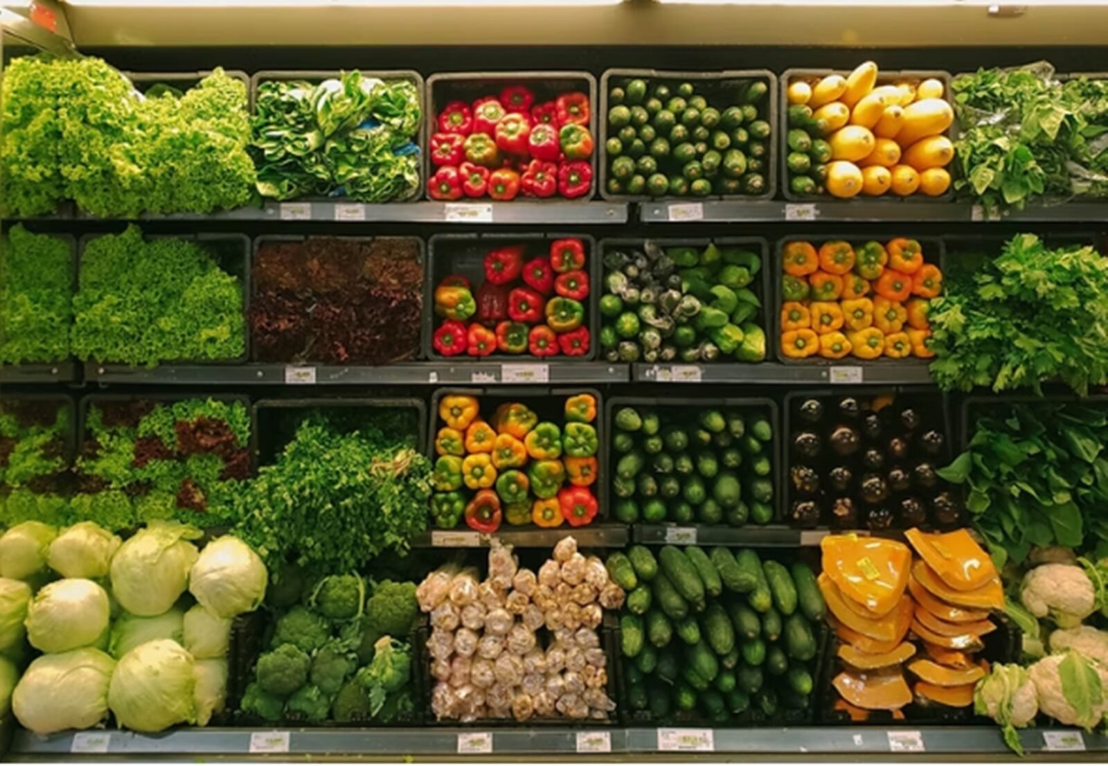 Novas regras reforçam proteção ao vale-alimentação