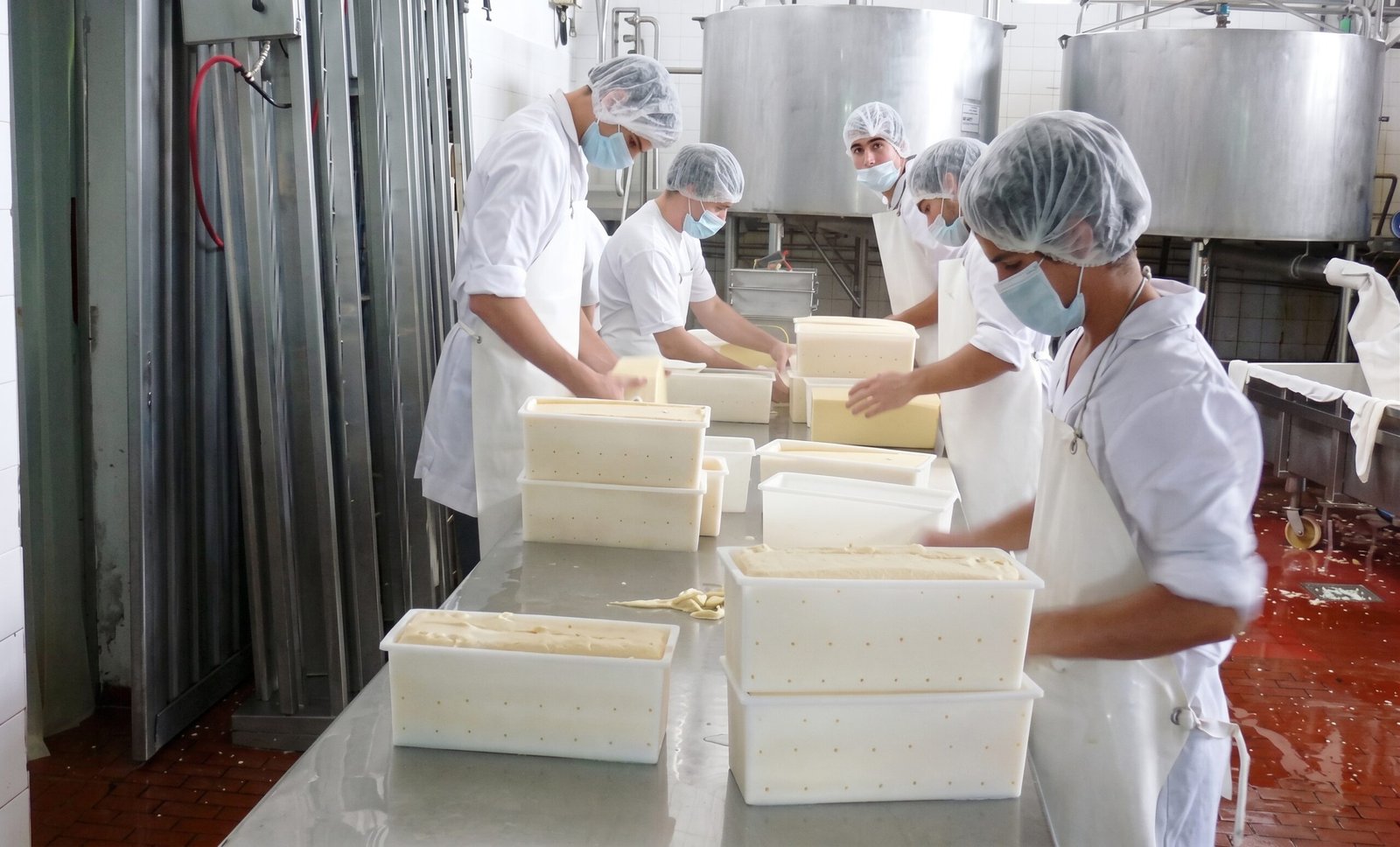 STILASP fortalece direitos nos laticínios e atuação nas empresas