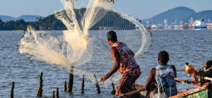Setor de pesca avança em nova Convenção Coletiva